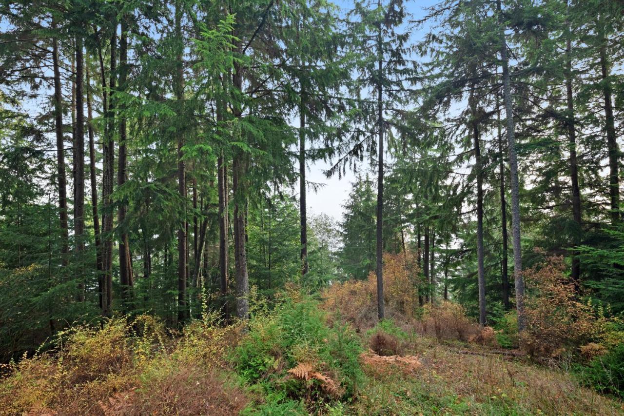 Racoon Retreat Βίλα Eastsound Εξωτερικό φωτογραφία